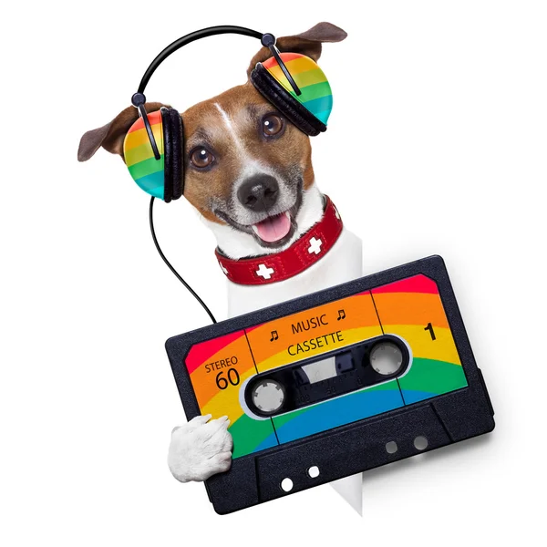 Muziek hond — Stockfoto