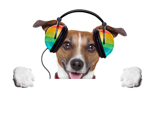 Music dog — Stock Photo, Image