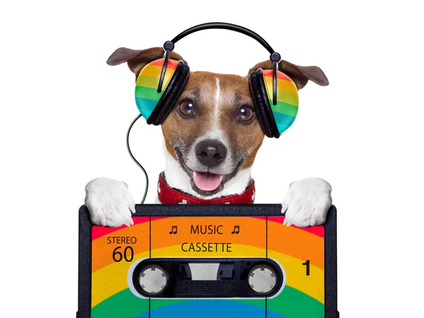 Muzyka pies — Zdjęcie stockowe