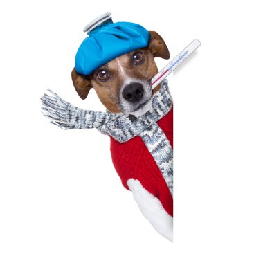 sick dog with fever clipart