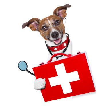 Tıp doktoru köpek