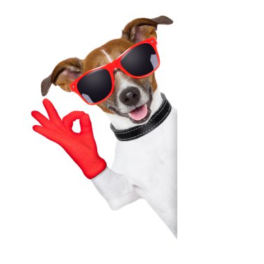 parmak köpek ok