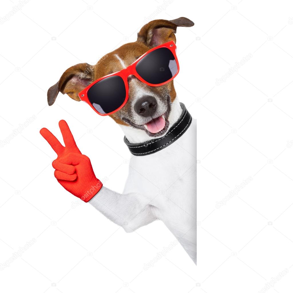 peace fingers dog