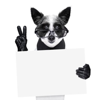 Barış parmak köpek