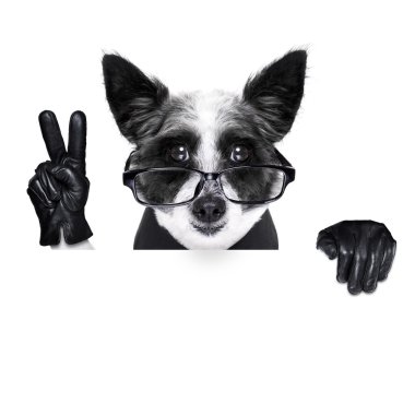 Barış parmak köpek