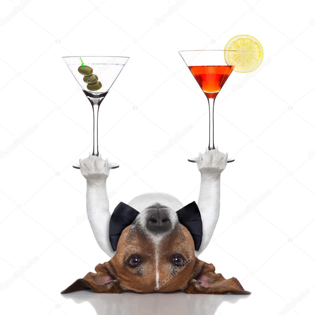 Cocktail dog Stock Photo by ©damedeeso 35038615