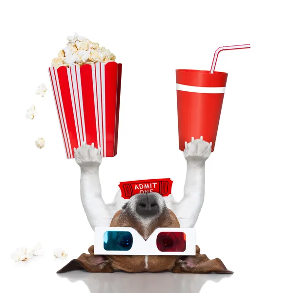 Movie cinema dog — Stock Photo, Image