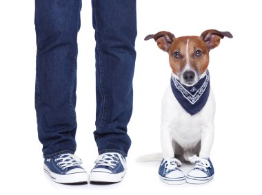 köpek sahibi ve köpek