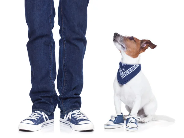 Hundebesitzer und Hund — Stockfoto
