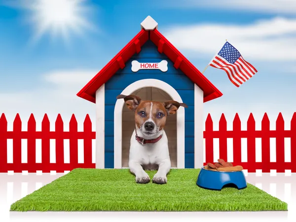 Dog house — Stock Photo, Image