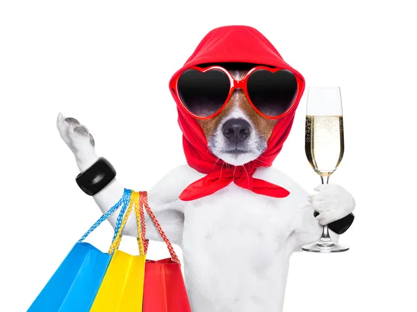 Shopaholic diva köpek — Stok fotoğraf