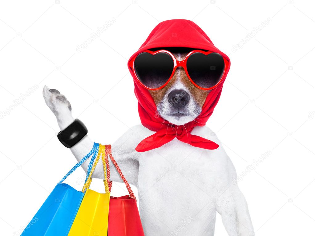 shopaholic diva dog