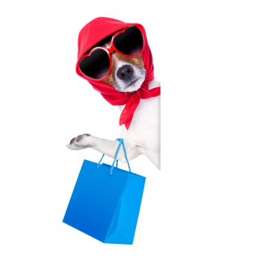 Shopaholic alışveriş diva köpek