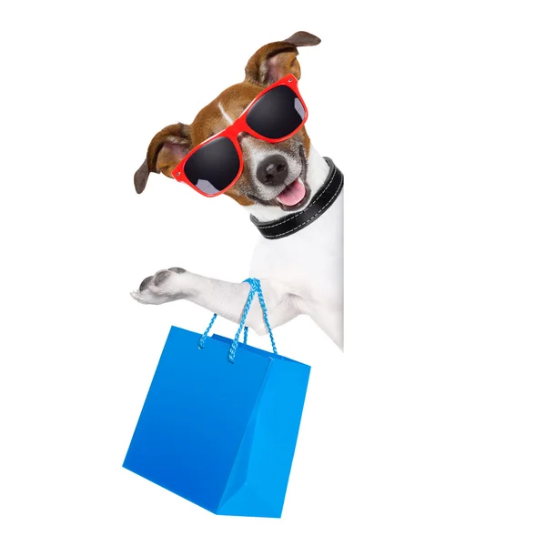 Shopaholic nákupní pes — Stock fotografie