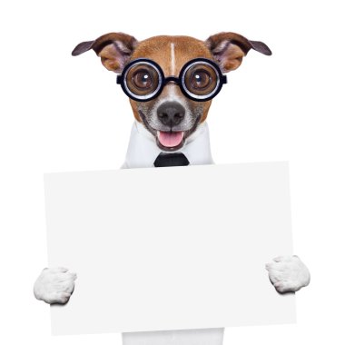 Patron köpek afiş