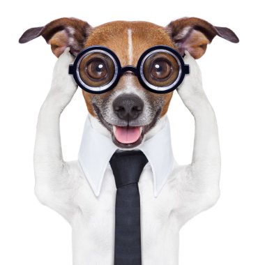 Kulaklarım köpek kapsayan
