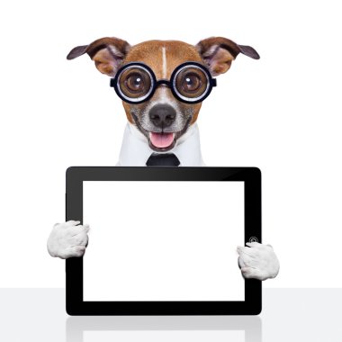 aptal iş köpeği