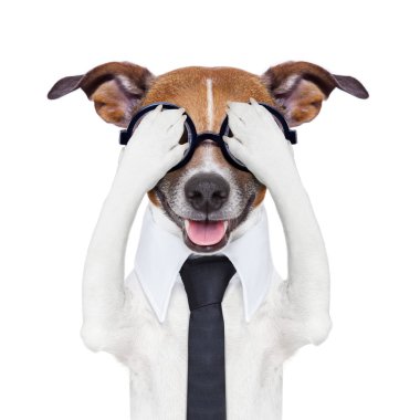 çılgın köpek kapsayan gizleme