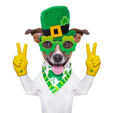 St patricks günü köpek