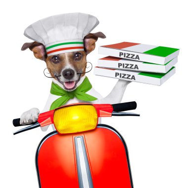 Pizza teslim köpek
