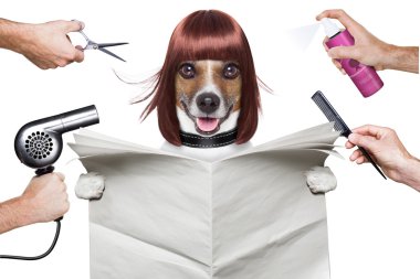 hairdresser dog  clipart