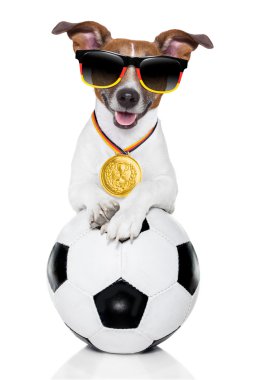 Brezilya FIFA Dünya Kupası köpek
