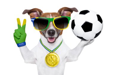 Brezilya FIFA Dünya Kupası köpek
