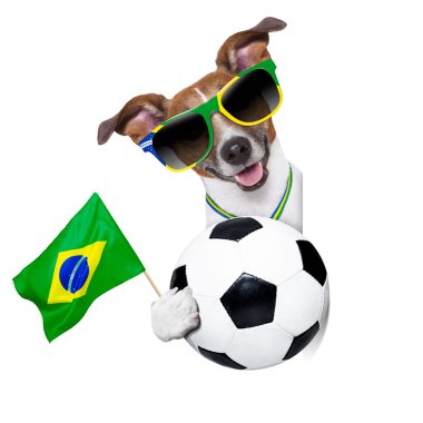 Brezilya FIFA Dünya Kupası köpek