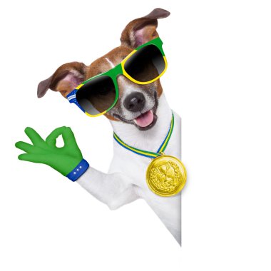 Brezilya FIFA Dünya Kupası köpek