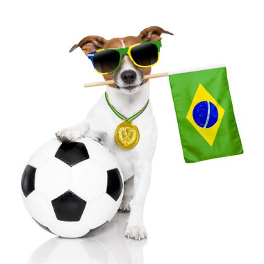 köpek gibi madalya ve bayrak futbol