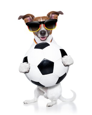 Brezilya FIFA Dünya Kupası köpek