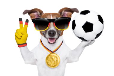 Brezilya FIFA Dünya Kupası köpek