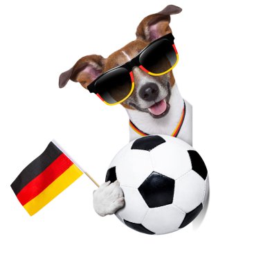 Brezilya FIFA Dünya Kupası köpek