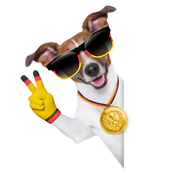 Brezilya FIFA Dünya Kupası köpek
