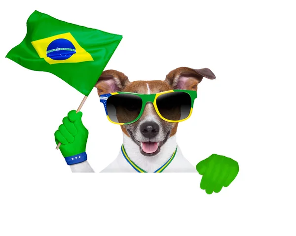 Brazil five a world cup dog — Stok Foto