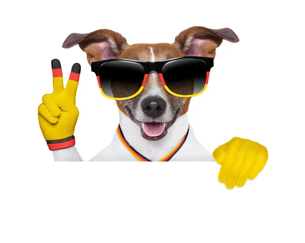 Brazil five a world cup dog — Stok Foto