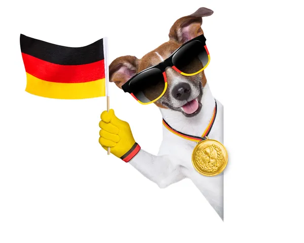 Brasiliens WM-Hund — Stockfoto
