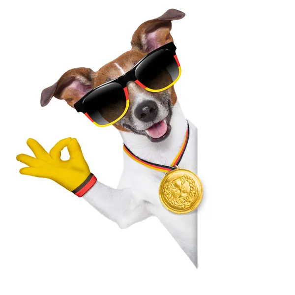 Brazil  fifa world cup  dog — Stock Photo, Image