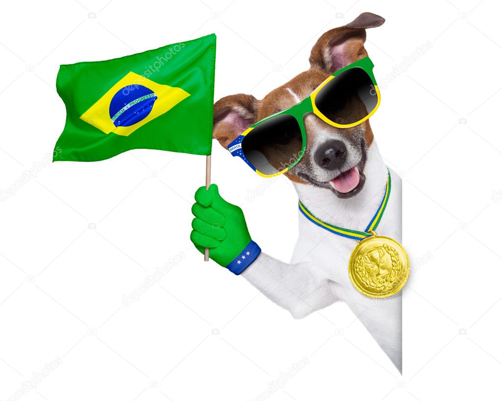 brazil fifa world cup dog — Stock Photo © damedeeso 43068827