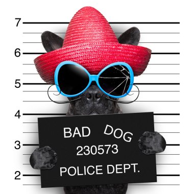 köpek istedim