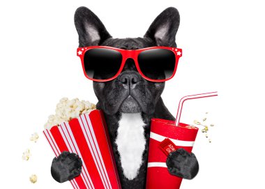 köpek film