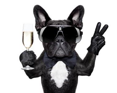 cocktail dog  clipart