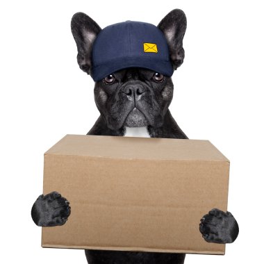 delivery post dog