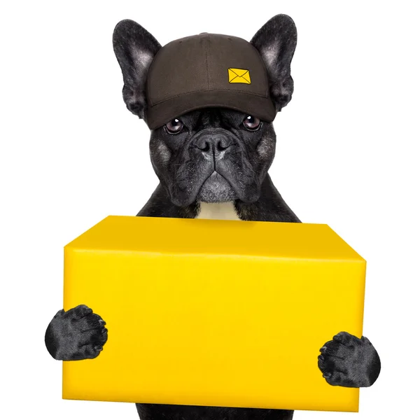 Szállítás postai kutya — Stock Fotó