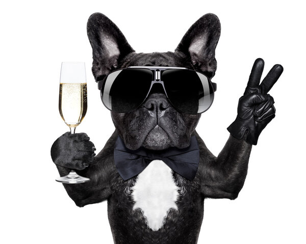 Cocktail dog Royalty Free Stock Images
