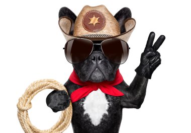 kovboy köpek