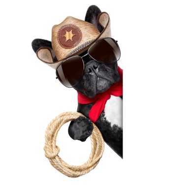 kovboy köpek