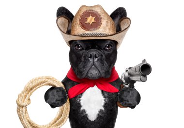 kovboy köpek