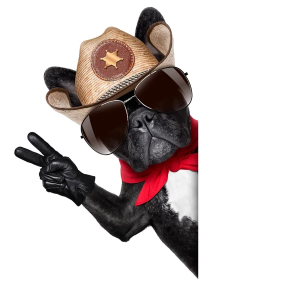 Cowboy dog — Stock Photo, Image