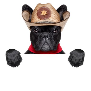 kovboy köpek